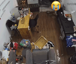 Ngồi tát nước cả buổi sau mưa lớn, chủ tiệm làm đẹp ngồi thừ bất lực sau khi chiếc bán tải chạy ngang qua