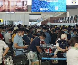 Hàng không nội địa Việt Nam phục hồi nhanh nhất thế giới