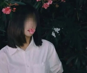 Ngậm hoa 'sống ảo' và cái kết đắng của blogger Trung Quốc