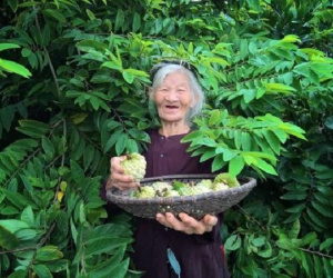 Bài văn miêu tả 'vườn nhà bà' toàn dấu huyền khiến cộng đồng mạng ngạc nhiên lẫn cảm động