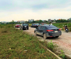 Nhà đầu tư ồ ạt bỏ cọc sau khi đấu giá đất ở mức 'trên trời'