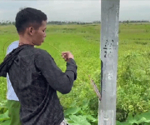 Gã trai mất 2 ngón tay thoăn thoắt cắt trộm dây cáp điện cột đèn cao áp