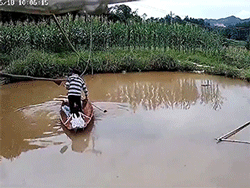 Kịch tính màn giữ thăng bằng của ông nội khi cháu gái la hét lúc bơi thuyền