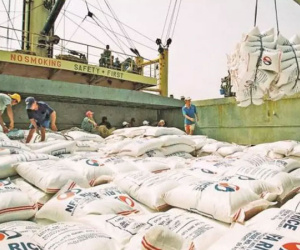 Cơn sốt giá lan trên toàn cầu, Việt Nam sở hữu ‘kho hàng’ 28 triệu tấn