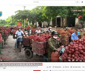 Bắc Giang lên tiếng về thông tin vải thiều giá 5 nghìn đồng/kg
