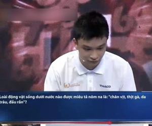 Câu hỏi 'chân vịt, thịt gà, da trâu, đầu rắn là con gì' đánh bại thí sinh Olympia