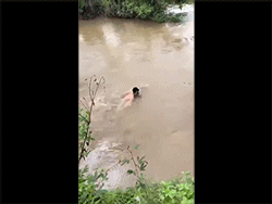 Video: Bé gái tím tái tay chân vì ngâm nước may mắn được người dân cứu vào bờ