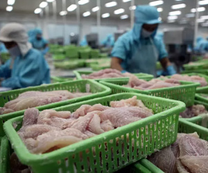 Giá lên đỉnh, thu tiền nhiều nhất lịch sử: Món hàng Việt gặp thời trên đất Mỹ