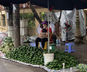 Loại quả siêu thực phẩm tràn chợ Hà Nội, giá siêu rẻ vẫn ế