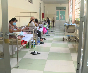 Nhiều ca sốt xuất huyết nguy kịch vì thiếu dịch truyền, Việt Nam lên kế hoạch sản xuất