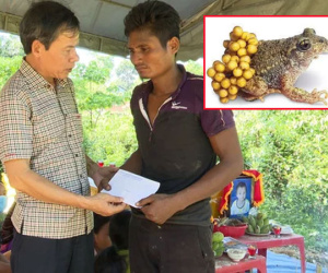 Hai chị em ruột tử vong nghi do ăn da, trứng cóc