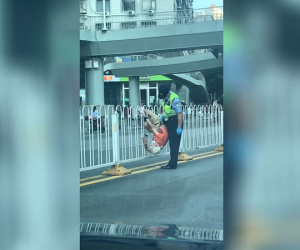 Vội vã trèo qua hàng rào giữa đường, người đàn ông gặp tai nạn dở khóc dở cười