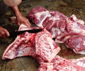 Đau nhức dữ dội khớp sau lần mổ lợn bị đứt tay