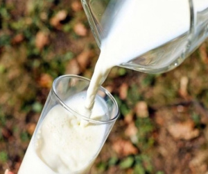 Con dâu dán giấy lên hộp sữa, mẹ chồng lộ âm mưu kinh hoàng