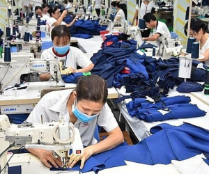 Thực hư việc người lao động thất nghiệp có thể được nhận hơn 280 triệu đồng tiền trợ cấp