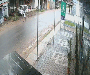 Lọt đúng khe giữa hai cành cây, người đàn ông thoát chết kỳ diệu