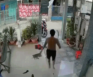 Video: Kinh hoàng chứng kiến người đàn ông đánh tử vong hàng xóm vì 'hóng' chuyện vợ chồng cãi nhau