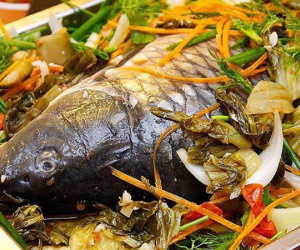 Tám người ngộ độc nặng sau bữa tối, nghi do mật cá trắm