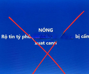 Ảnh minh họa