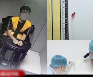 Vụ án gay cấn như phim truyền hình: Cảnh sát phá án trong 'một nốt nhạc' chỉ nhờ một con muỗi chết
