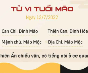 Tử vi thứ 4 ngày 13/07/2022 của 12 con giáp: Sửu công việc may mắn, Ngọ dễ mất tiền oan