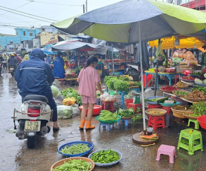 Phú Quốc mưa lớn, hành lá vọt lên 300.000đ/kg, rau muống 60.000đ/kg