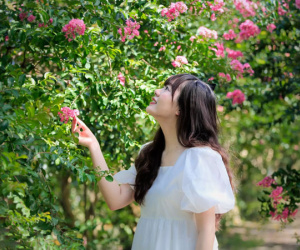 Lặn lội từ 6h sáng để có mặt ở Hà Nội chụp ảnh với hoa tường vi