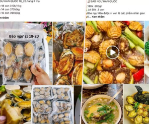 Sự thật bào ngư Hàn Quốc giá rẻ, nguồn gốc đáng ngờ