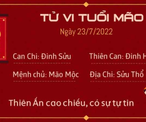 Tử vi thứ 7 ngày 23/07/2022 của 12 con giáp: Sửu tài lộc rộng mở, Ngọ khó tránh xui xẻo