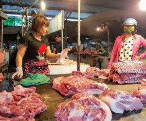 Vì sao giá thịt lợn tăng cao?