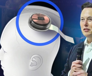 Elon Musk đã 'copy' thành công não của chính mình lên đám mây