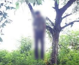 Phát hiện Phó Giám đốc Văn phòng đăng ký đất đai ở Hải Phòng treo cổ tự tử gần bờ sông