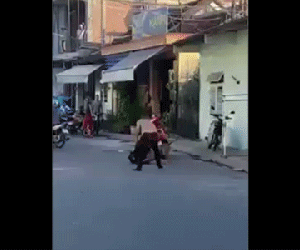 Pitbull tấn công chó nhà, dân mạng đồng loạt phản ứng: 'Nếu đấy là trẻ con sự việc sẽ ra sao ?'