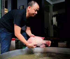 Xăng giảm liên tục giá cả vẫn tăng cao, hàng ở chợ đắt hơn siêu thị