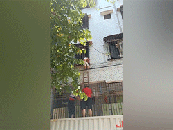 Kẹt đầu vào chuồng cọp, bé gái may mắn được người dân cứu giúp