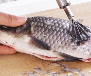 Những bộ phận 'đại bổ' của cá, cực nhiều dinh dưỡng, lại ít người biết nên thường vứt bỏ
