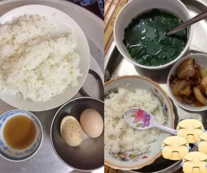 Dâu trẻ than vãn mẹ chồng nấu cơm cữ mà như cho mèo ăn
