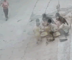 Bé trai bị chó hoang tấn công và màn 'hộ giá' dũng mãnh của chú chó nhà