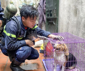 Từ anh lính cứu hỏa tập sự gánh rau giúp cụ già đến người hùng hy sinh quên thân mình: Mãi dừng lại ở tuổi 24