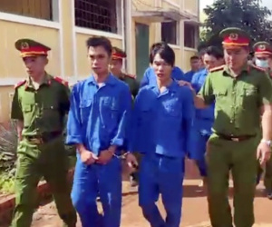 Triệt phá băng nhóm chuyên thuê ô tô đi bắt trộm mèo