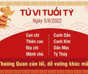 Tử vi thứ 6 ngày 05/08/2022 của 12 con giáp: Tý khúc mắc, Dần phát tài