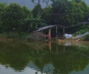 Bố mẹ làm ăn xa, 2 anh em ruột chết đuối thương tâm khi ra ao tắm