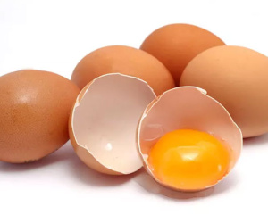 Trẻ dị ứng trứng gà có nên tiêm vắc xin cúm?