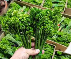 Kỳ lạ loại hoa giá bán đến 8 triệu/kg, dân Việt vẫn xuống tiền mua ngâm rượu
