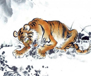 Tử vi tuần mới 8/8-14/8: Ngọ tài lộc rực rỡ, Dậu cẩn trọng kẻ gian cản trở