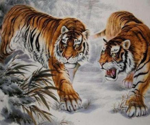 3 cặp con giáp là 'kẻ thù không đội trời chung', khó thành vợ thành chồng nhưng là bạn bè thì bền lâu