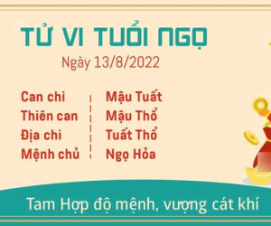 Tử vi thứ 7 ngày 13/08/2022 của 12 con giáp: Ngọ có lộc, Dậu mệt mỏi