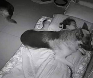 Liên tục khó thở, gặp ác mộng mỗi đêm trong tháng cô hồn, cô gái tá hỏa khi lắp camera theo dõi lúc ngủ