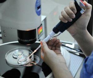 Con trai không có quan hệ huyết thống với chồng, người phụ nữ phát hiện sự thật sốc từ 26 năm trước