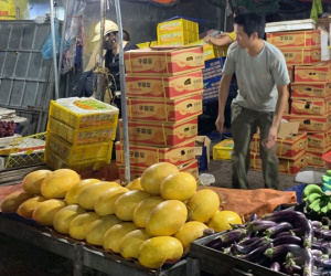 Top đầu thế giới, dưa lưới Trung Quốc lăn tràn chợ Việt